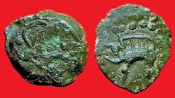 bronze au sanglier