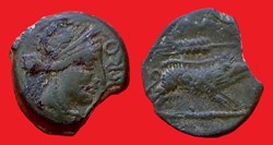 bronze AGVSSROS