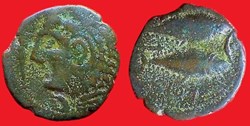 GADES semis à la tête de MELQART et aux thons