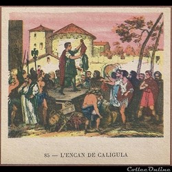 l'encan de calligula