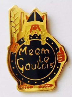 pin's
