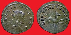 GALLIEN - hippocampe