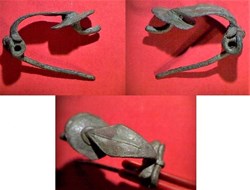 fibule