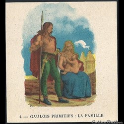gaulois primitifs : la famille