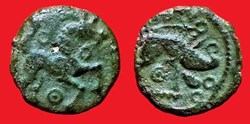 bronze au cheval et au sanglier type des dépôts d'AMIENS