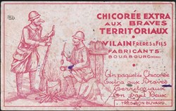 buvard - chicorée
