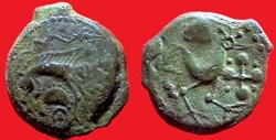 bronze au sanglier et au coq aptère