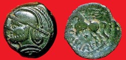 bronze CRICIRV barbu aux esses et annelet type 1