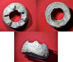 fusaïole - couronne plate