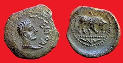bronze ATECTORI