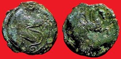 bronze au loup et au pégase