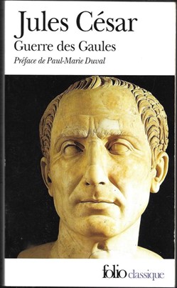 histoire - guerre des gaules