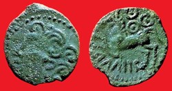 bronze SIIVNI