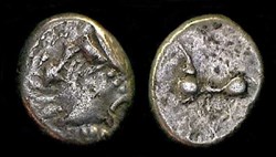 denier type KALETEDOY