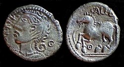 denier SENODON / CALEDV