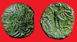 bronze CALIAGIID
