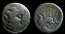 denier au sanglier monstrueux