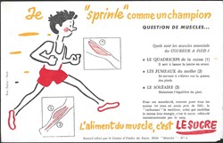 buvard - alimentation sucre
