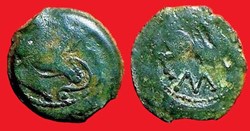 bronze au loup et au pégase au M