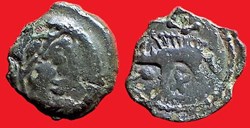 bronze au sanglier