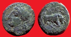 petit bronze au taureau tête à gauche