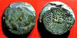 bronze REMO/REMO bige à droite