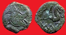 bronze au loup et au pégase au M