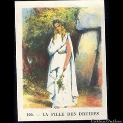 la fille des druides