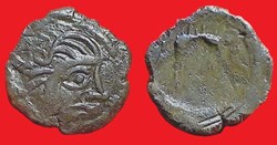 bronze au sanglier