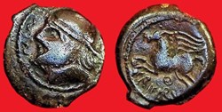bronze CRICIRV barbu aux esses et annelet type 1 #