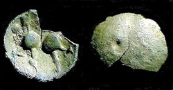 DANUBE - obole type KARLSTEIN