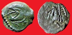 bronze au loup et au pégase au X *