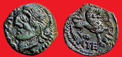 bronze TOVTOBIO CIO- ATEPILOS