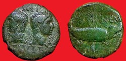 colonie de NIMES - type 3