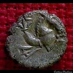 hippocampe