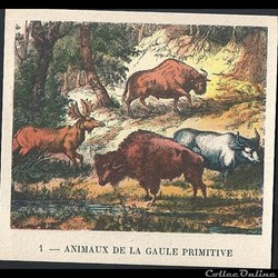 animaux de la gaule primitive