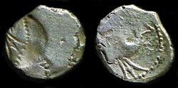 incus - denier à l'hippocampe