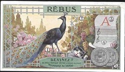 REBUS