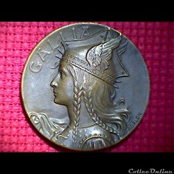 MEDAILLE gaulois