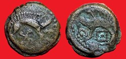 bronze aux sangliers de SAINT ANDREE sur CAILLY - a