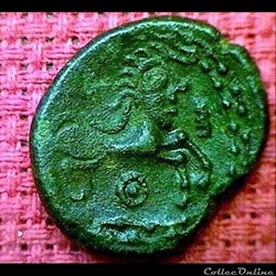 cheval androcéphale
