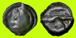 potin au sanglier enseigne - a