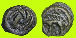 potin tête grossière et au sanglier