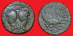 colonie de NIMES - type 1
