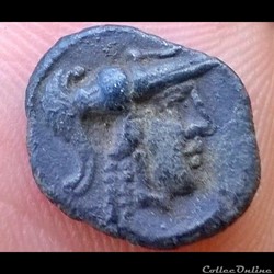 DT série 377 minimi à la tête de Pallas
