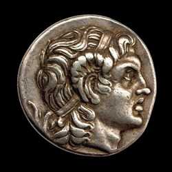 Skostokos AR Tetradrachm | An Extremely Rare Lysimachos Type
