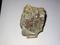 ACTINOTE à mica doré