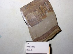 PAESINE