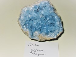 CELESTINE de Madagascar