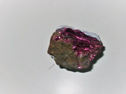 ERITHRYNE de BOU-ASSER
